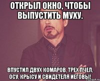 открыл окно, чтобы выпустить муху. впустил двух комаров, трех пчел, осу, крысу и свидетеля иеговы!