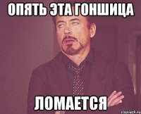 опять эта гоншица ломается