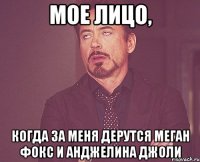 мое лицо, когда за меня дерутся меган фокс и анджелина джоли