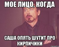 мое лицо, когда саша опять шутит про кирпичики