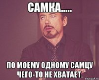 самка..... по моему одному самцу чего-то не хватает.