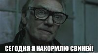  сегодня я накормлю свиней!