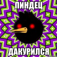 пиндец дакурился