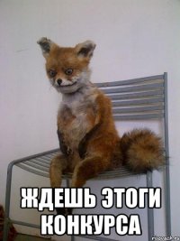  ждешь этоги конкурса