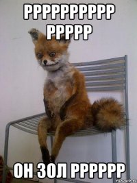рррррррррр ррррр он зол рррррр