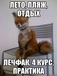 лето, пляж, отдых лечфак, 4 курс, практика