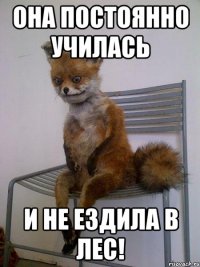 она постоянно училась и не ездила в лес!