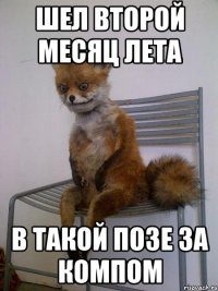 шел второй месяц лета в такой позе за компом