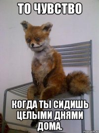 то чувство когда ты сидишь целыми днями дома.