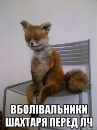  вболівальники шахтаря перед лч