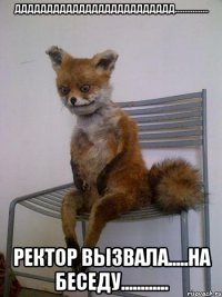 ддддддддддддддддддддддддд................. ректор вызвала.....на беседу............