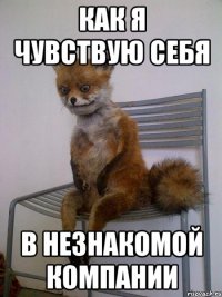 как я чувствую себя в незнакомой компании