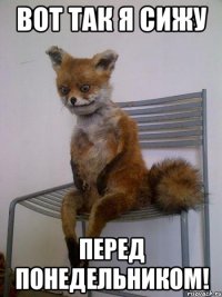 вот так я сижу перед понедельником!