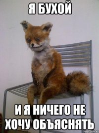 я бухой и я ничего не хочу объяснять