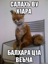 салахь ву х1ара балхара ц1а веъча