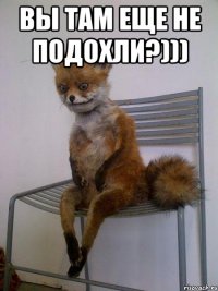 вы там еще не подохли?))) 