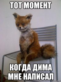 тот момент когда дима мне написал