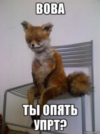 вова ты опять упрт?