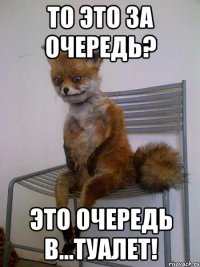 то это за очередь? это очередь в...туалет!