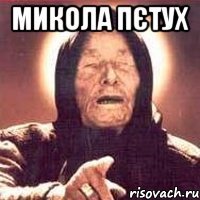 микола пєтух 