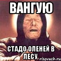 вангую стадо оленей в лесу