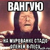 вангую на мурованке стадо оленей в лесу