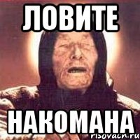 ловите накомана