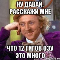 ну давай, расскажи мне что 12 гигов озу это много