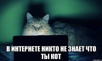  в интернете никто не знает что ты кот