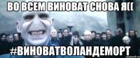 во всем виноват снова я(( #виноватволандеморт