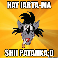 hay iarta-ma shii patanka;d