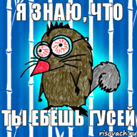 Я знаю, что ты ебёшь гусей