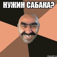 нужин сабака? 