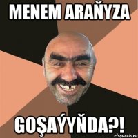 menem araňyza goşaýyňda?!