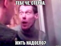 тебе че, стерва, жить надоело?