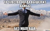 то чувство когда вышел из дамбы без малгаша.