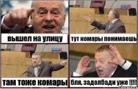 вышел на улицу тут комары понимаешь там тоже комары бля, задолбади уже !!!