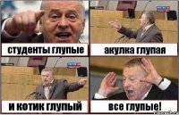 студенты глупые акулка глупая и котик глупый все глупые!