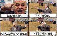 там весна тут весна а похоже на зиму чё за фигня