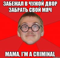 забежал в чужой двор забрать свой мяч мама, i'm a criminal