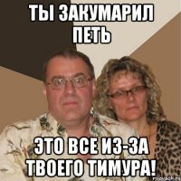 ты закумарил петь это все из-за твоего тимура!