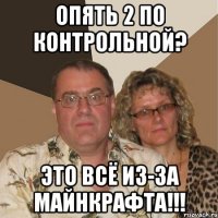 опять 2 по контрольной? это всё из-за майнкрафта!!!