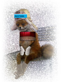Создать мем Даугава