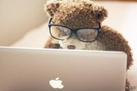 Создать мем даже у мишки есть MacBook а у те