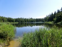 Создать мем девушка моей мечты