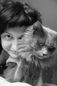 Создать мем фотки с котом