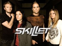 Создать мем Skillet