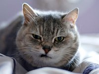 Создать мем скоро сентябрь