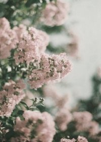 Создать мем У всех любовь а я Юля