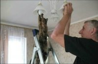 Создать мем Жарык